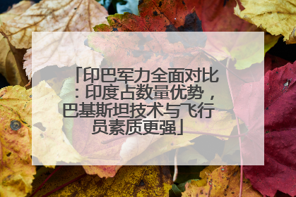 印巴军力全面对比：印度占数量优势，巴基斯坦技术与飞行员素质更强